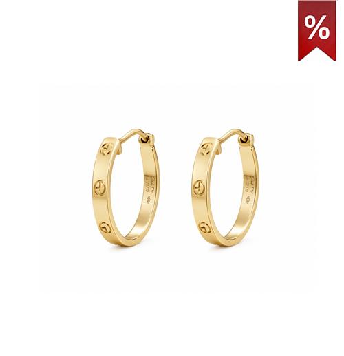 گوشواره حلقه ای لاو کارتیر