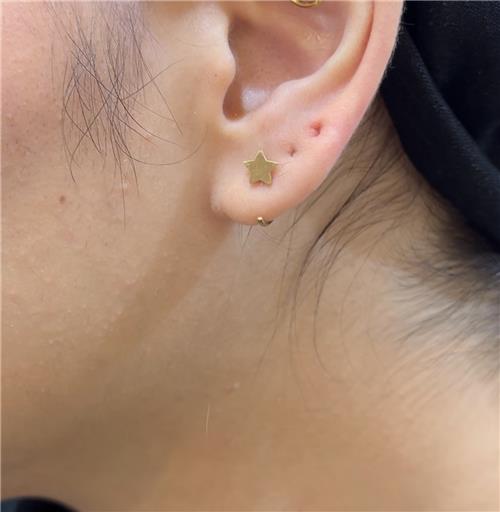 گوشواره میخی