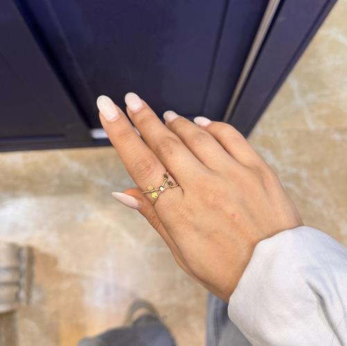 External-ring1