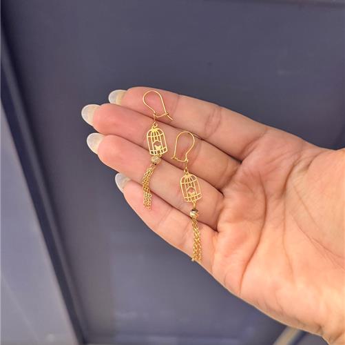 Cage-earrings