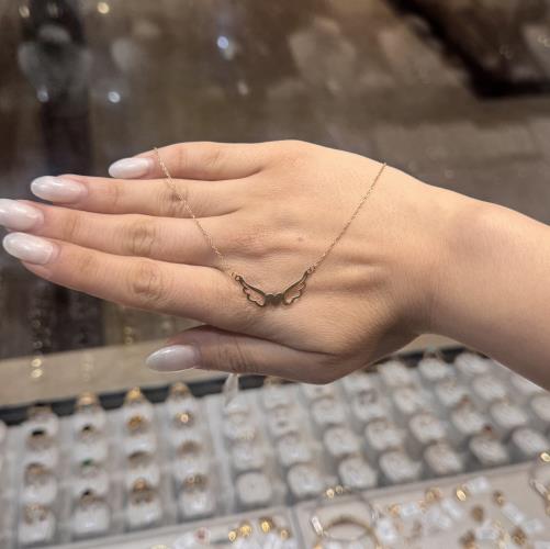 Wing-necklace