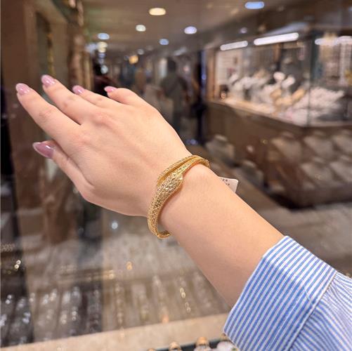Bangle-Fusion