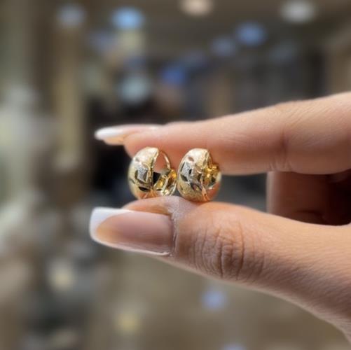 Clip-on-earrings
