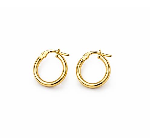 گوشواره حلقه ای آینه ای 